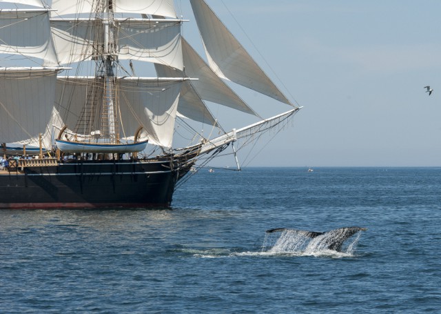 The 1841 whaleship Charles W. Morgan carries a message of conservation and preservation to the Stellwagen Bank National Marine Sanctuary on July 12, 2014.