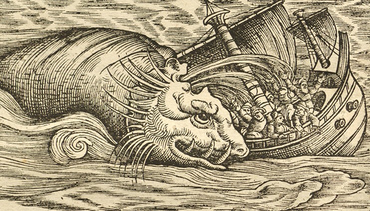 Gessner Whale Illustration