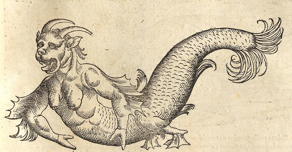 Gessner Merman Illustration