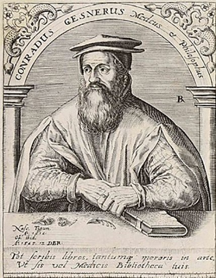 Conrad Gessner