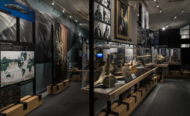 voyaging in the wake of the whalers exhibit at mystic seaport museum
